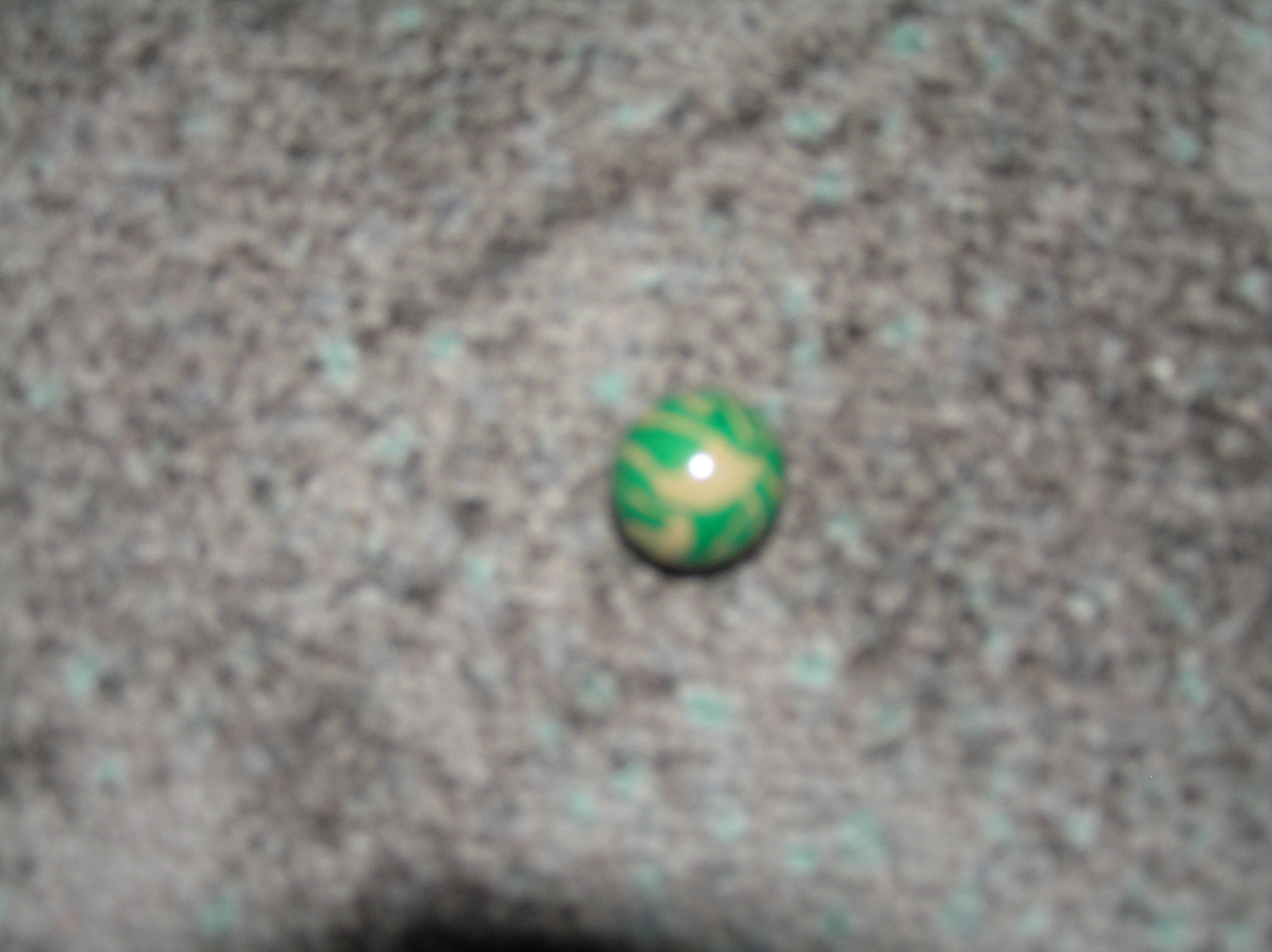 P1010015